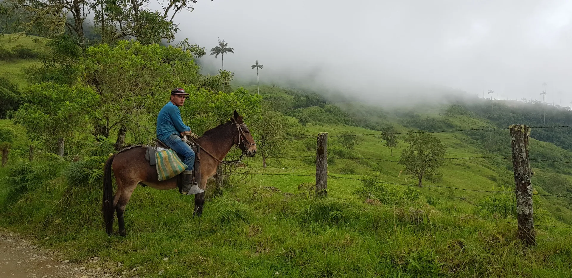 Les Andes colombiennes