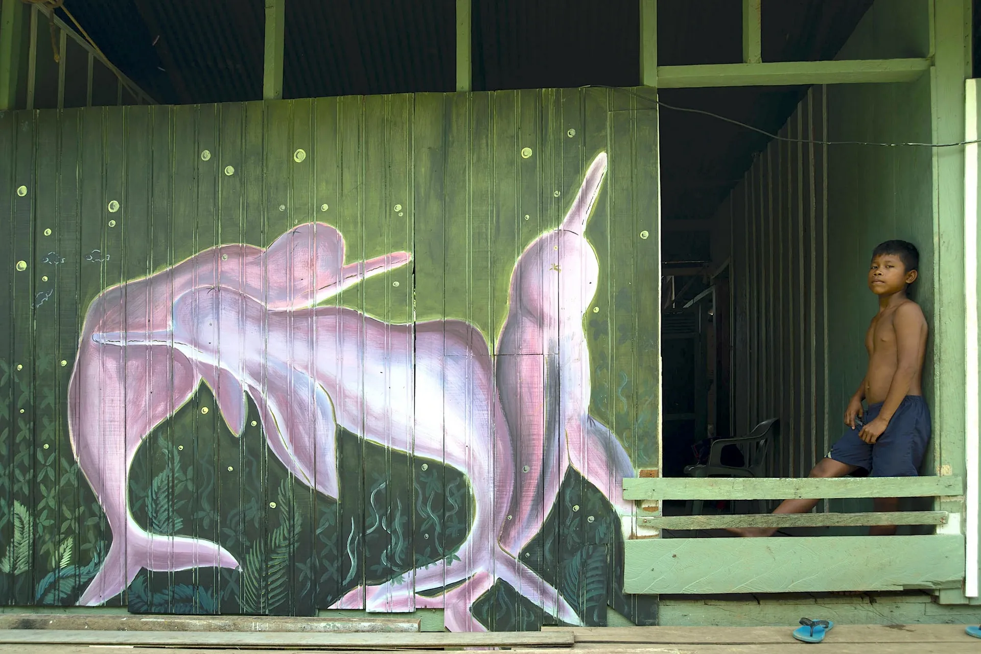Fresque de dauphins roses dans un village amazonien
