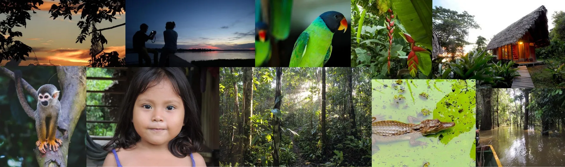 Amazonie colombienne : faune, forêt et communautés