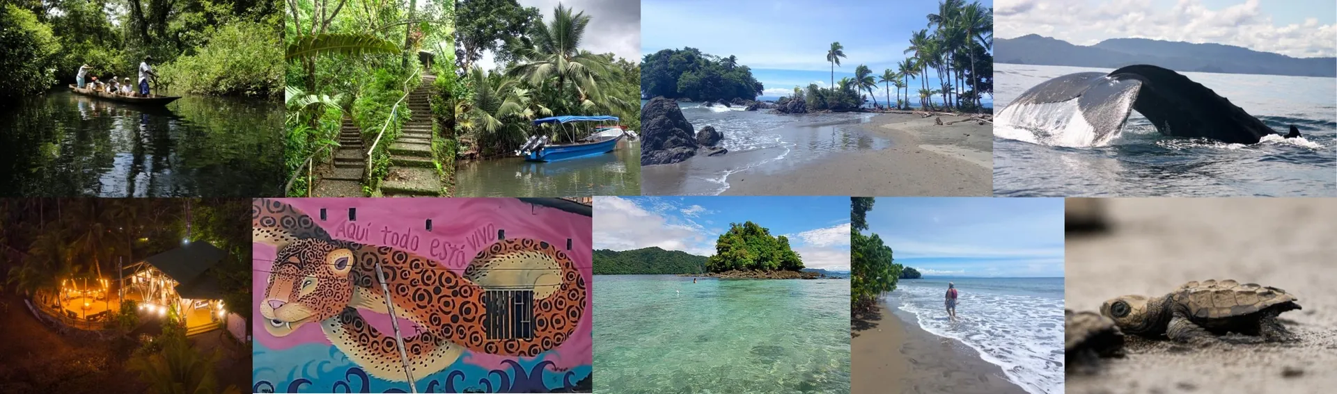 Chocó, côte Pacifique : jungle, plages et biodiversité