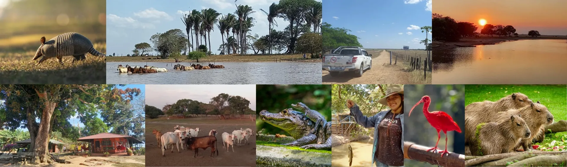 Los Llanos, le Far West colombien
