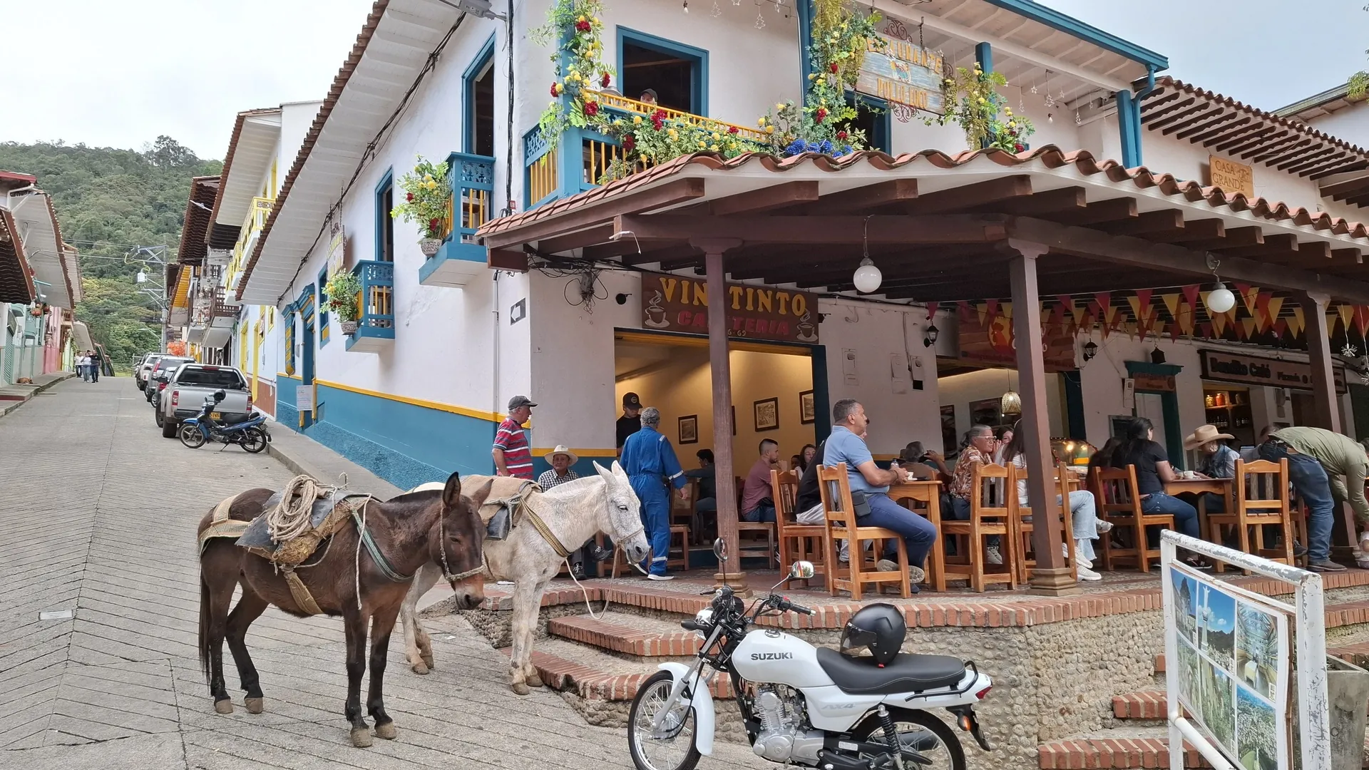Jour 7 – Jericó