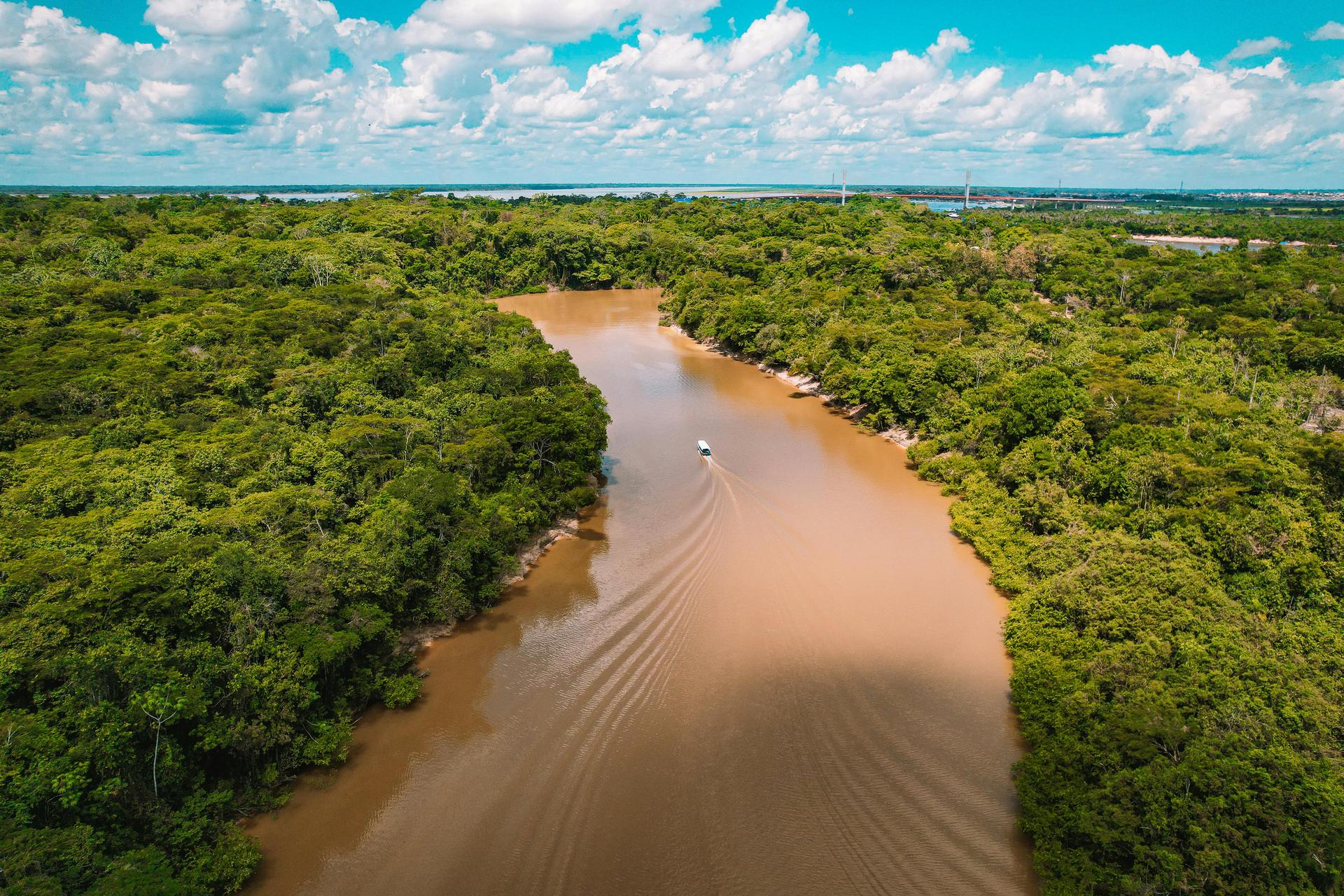 Bateau sur un bras de l’Amazone au milieu de la forêt